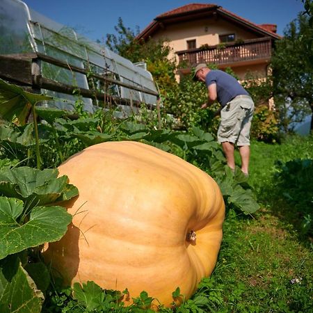 Tourist Farm Kolar Villa Ljubno Luaran gambar