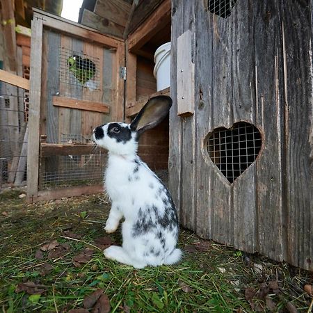 Tourist Farm Kolar Villa Ljubno Luaran gambar