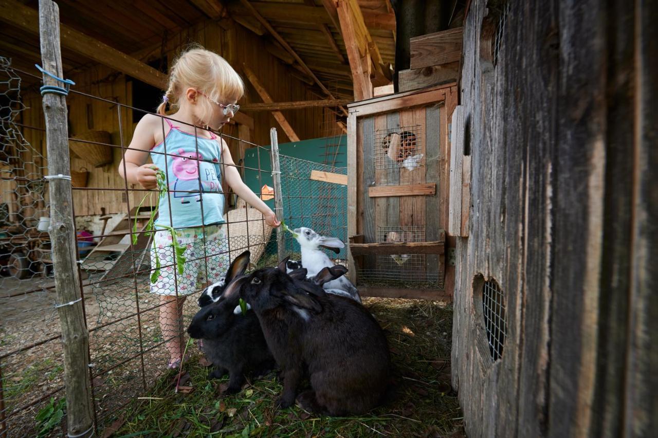 Tourist Farm Kolar Villa Ljubno Luaran gambar