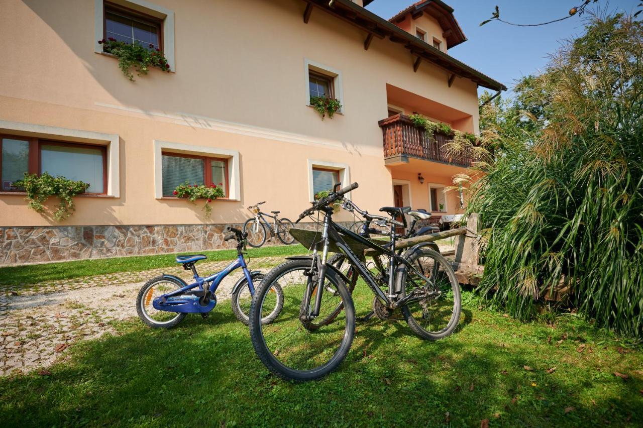 Tourist Farm Kolar Villa Ljubno Luaran gambar