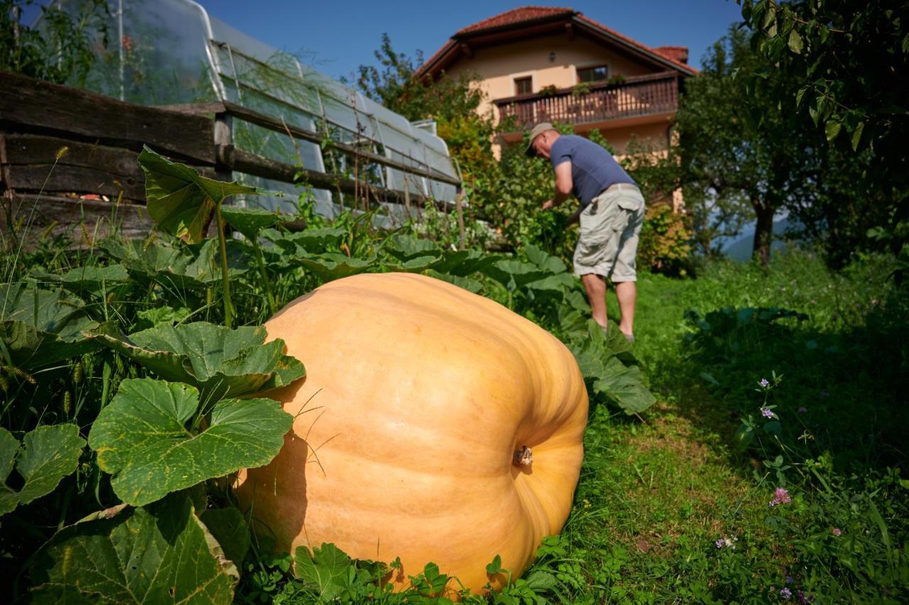 Tourist Farm Kolar Villa Ljubno Luaran gambar