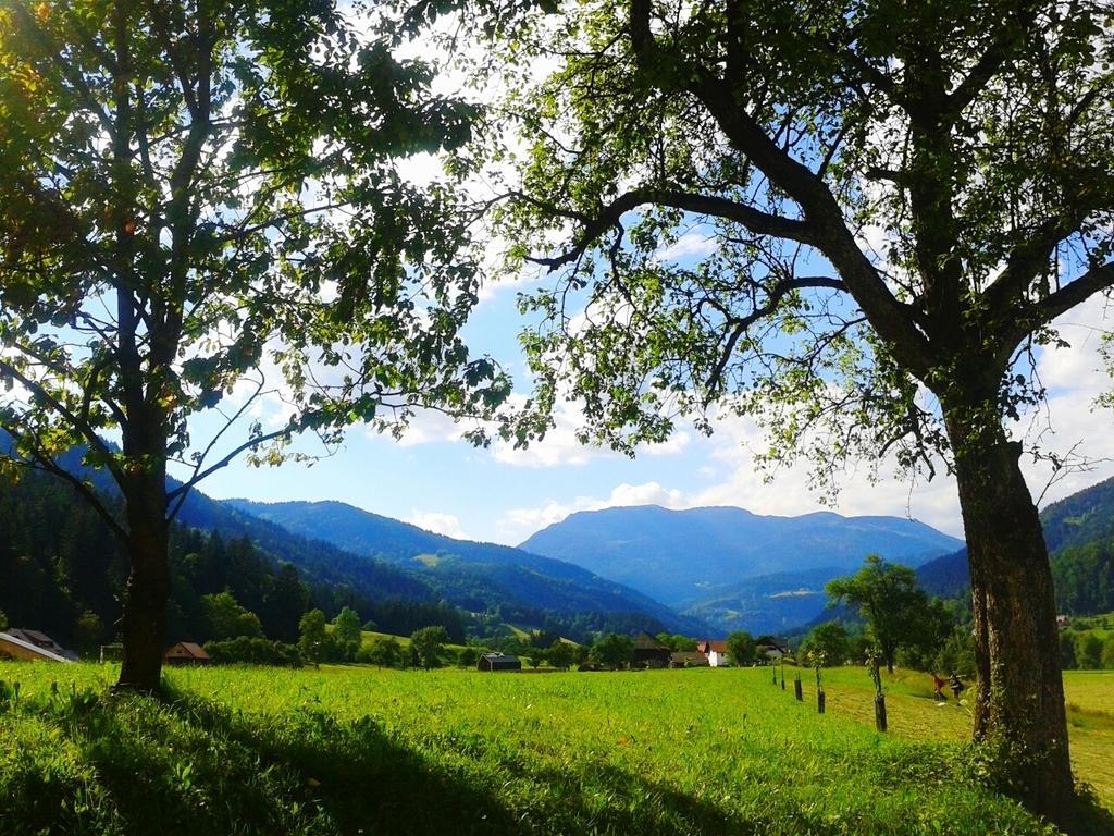 Tourist Farm Kolar Villa Ljubno Luaran gambar