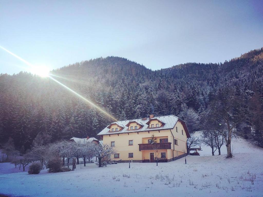 Tourist Farm Kolar Villa Ljubno Luaran gambar